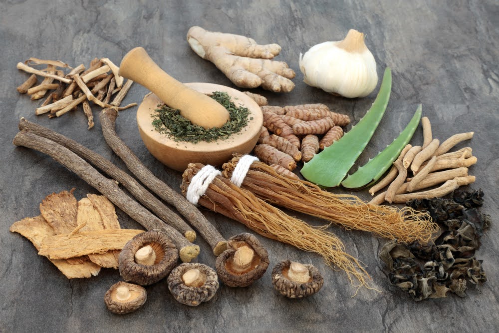 selection of functional mushrooms on a gray slate counter