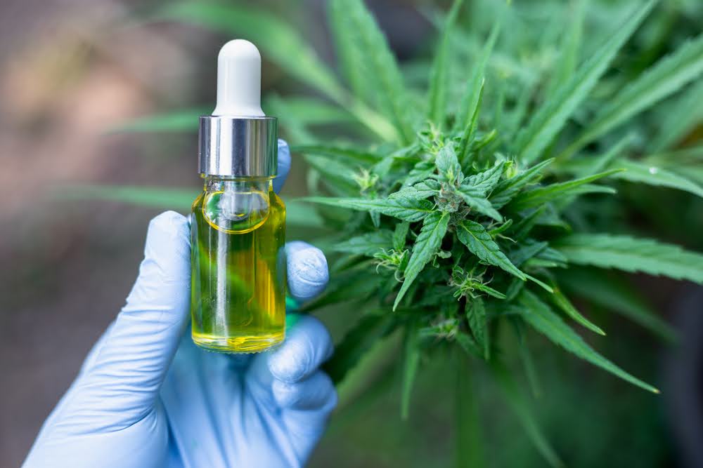 closeup of a hand covered in a blue glove holding a cbd oil tincture