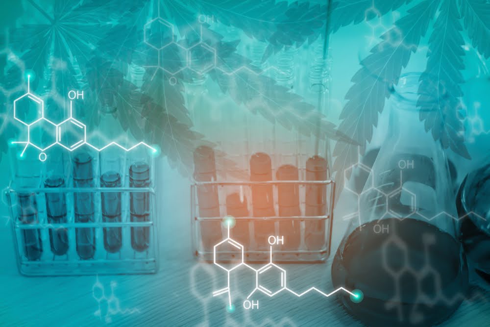 illustration of laboratory testing vials with hemp leaves