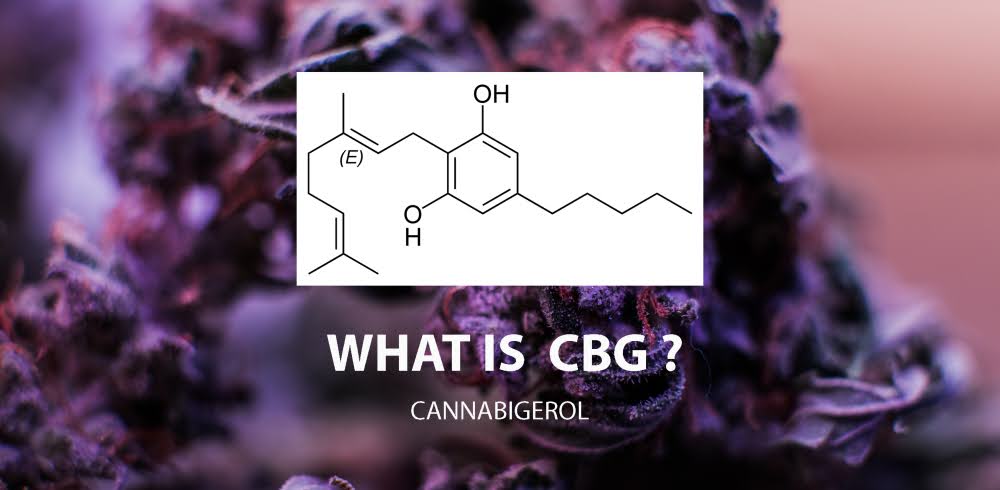 CBD element chart with the words “what is cbg?” underneath